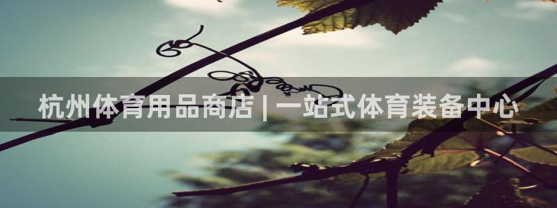 欧陆娱乐官方网站：杭州体育用品商店 | 一站式体育装