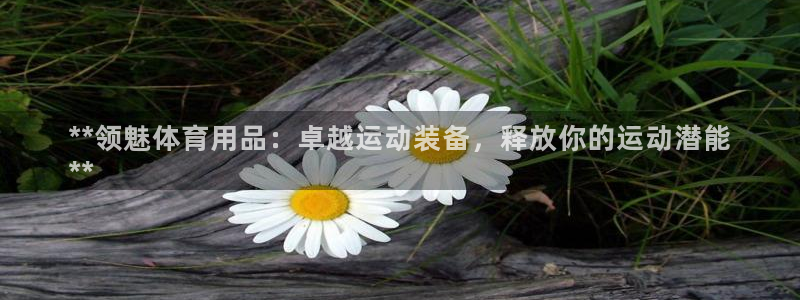 欧陆娱乐信誉如何：**领魅体育用品：卓越运动装备，释