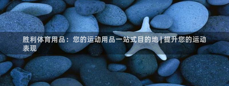 欧陆娱乐平台官网：胜利体育用品：您的运动用品一站式目