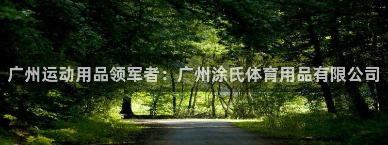欧陆娱乐打什么方案