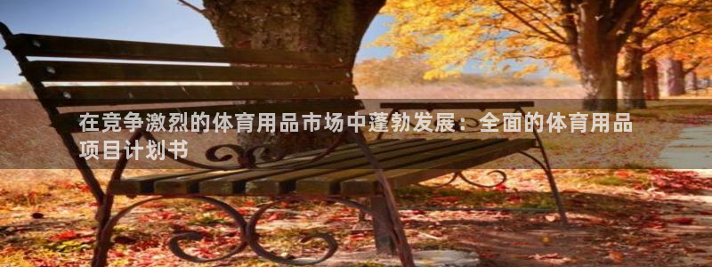 欧陆娱乐会员有什么用：在竞争激烈的体育用品市场中蓬勃