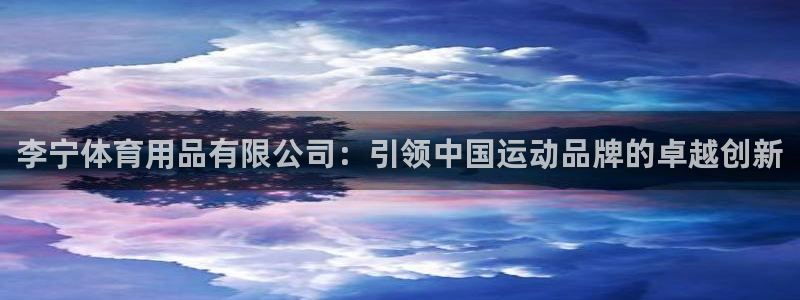 欧陆娱乐官网下载安装最新版苹果：李宁体育用品有限公司