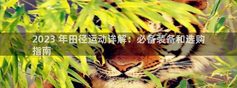 欧陆娱乐平台登录不上怎么办：2023 年田径运动详解