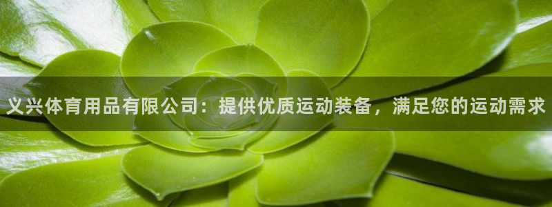 欧陆娱乐官网注册中心：义兴体育用品有限公司：提供优质