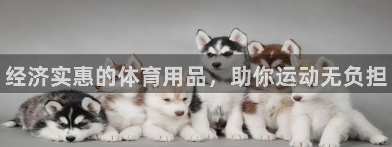 欧陆娱乐官网首页入口：经济实惠的体育用品，助你运动无