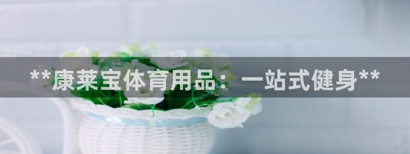欧陆娱乐平台总代理：**康莱宝体育用品：一站式健身*
