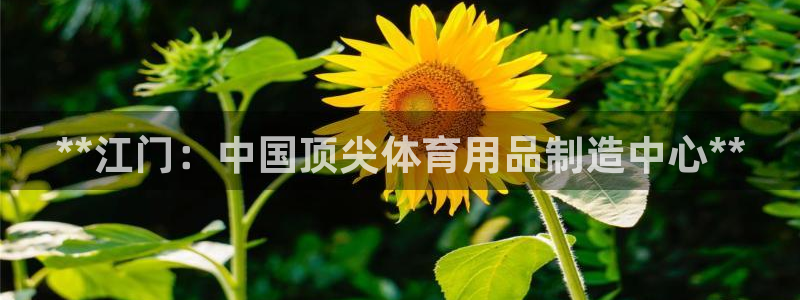 欧陆娱乐推广奖金多少：**江门：中国顶尖体育用品制造