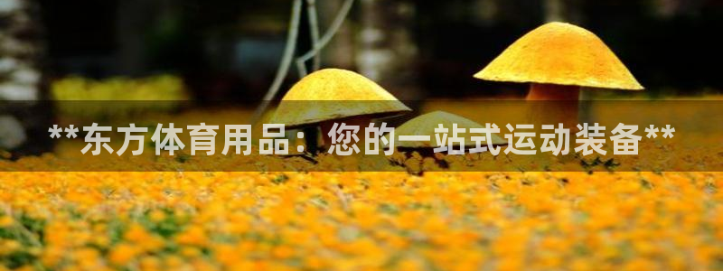 欧陆娱乐脚本下载：**东方体育用品：您的一站式运动装
