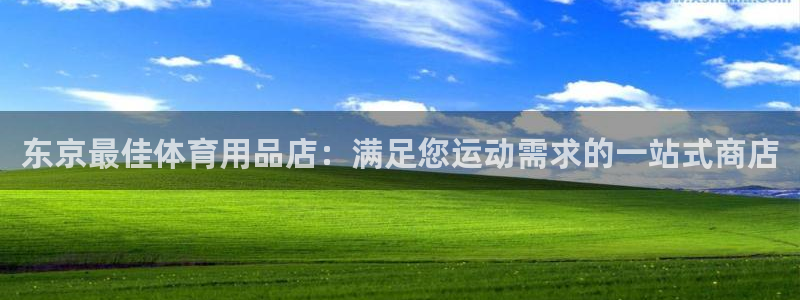欧陆娱乐app下载安装：东京最佳体育用品店：满足您运