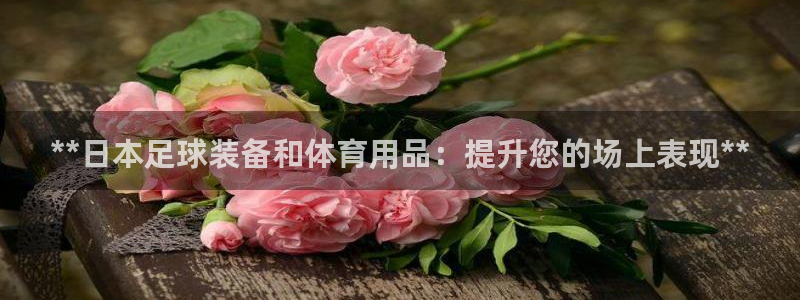 欧陆娱乐平台登陆地址是什么意思：**日本足球装备和体