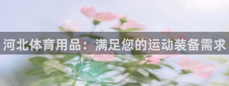 欧陆娱乐官网首页下载：河北体育用品：满足您的运动装备