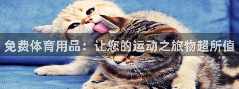 欧陆娱乐挂机项目：免费体育用品：让您的运动之旅物超所