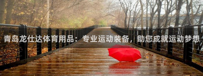 欧陆娱乐登陆平台下载：青岛龙仕达体育用品：专业运动装