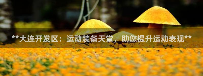 欧陆娱乐挂机项目：**大连开发区：运动装备天堂，助您