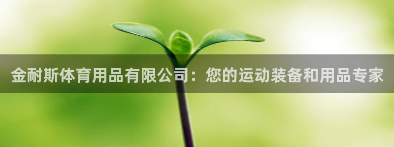 欧陆平台：金耐斯体育用品有限公司：您的运动装备和用品