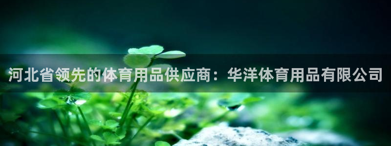 欧陆娱乐注册代理：河北省领先的体育用品供应商：华洋体