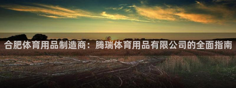 欧陆娱乐共创美好时刻：合肥体育用品制造商：腾瑞体育用