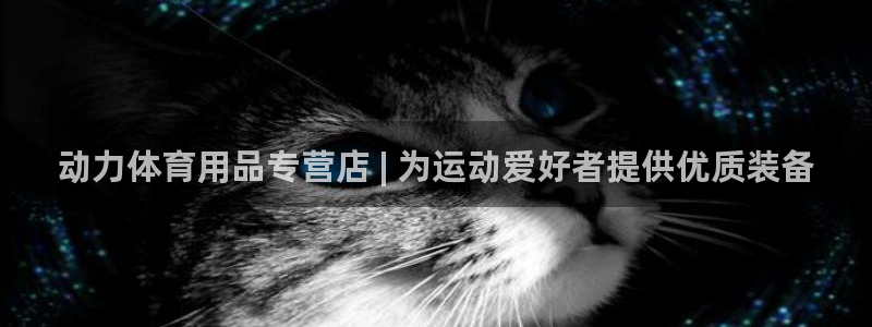 欧陆娱乐出款：动力体育用品专营店 | 为运动爱好者提