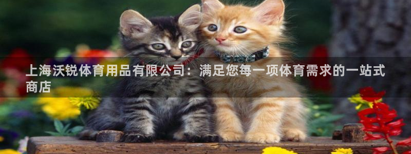 欧陆娱乐平台登录不上去怎么办：上海沃锐体育用品有限公