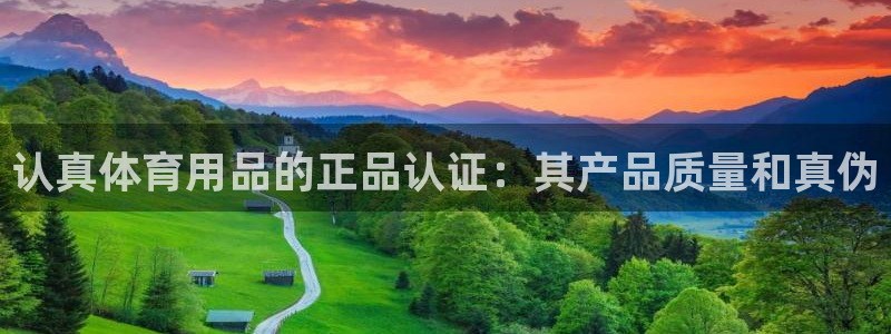 欧陆娱乐能提现嘛安全吗：认真体育用品的正品认证：其产
