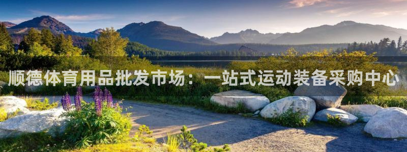 欧陆娱乐平台咋样赚钱的：顺德体育用品批发市场：一站式