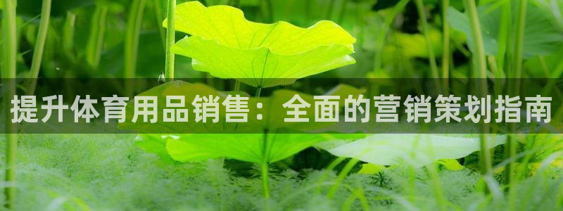 欧陆娱乐登录官网：提升体育用品销售：全面的营销策划指