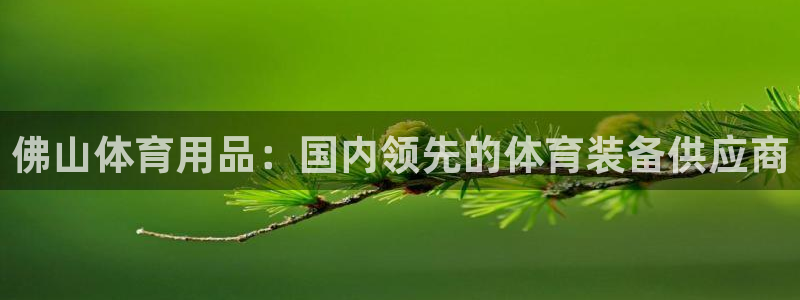 欧陆娱乐官网：佛山体育用品：国内领先的体育装备供应商