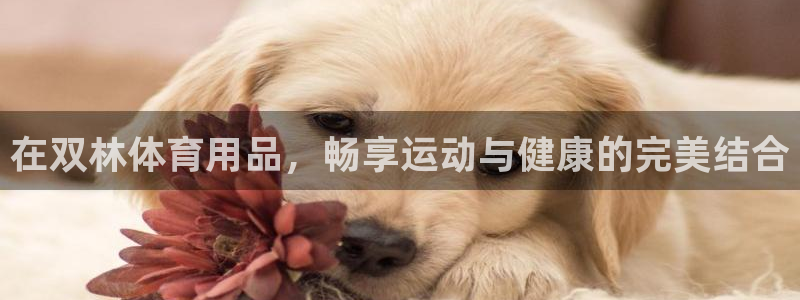 欧陆娱乐安全吗：在双林体育用品，畅享运动与健康的完美