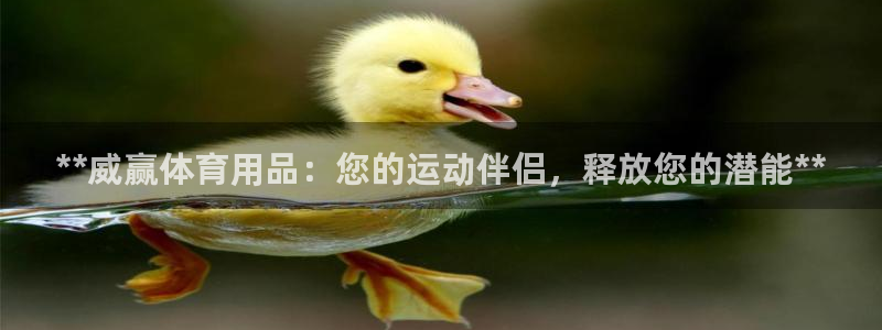 欧陆娱乐登录平台：**威赢体育用品：您的运动伴侣，释
