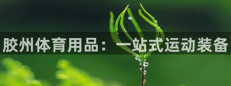 欧陆娱乐是正规平台吗安全吗可信吗知乎：胶州体育用品：