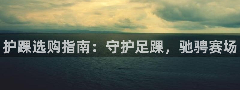 欧陆娱乐测速网站：护踝选购指南：守护足踝，驰骋赛场