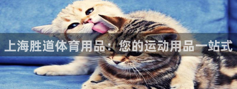 欧陆娱乐是正规吗?：上海胜道体育用品：您的运动用品一