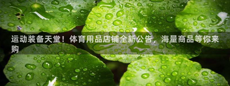 欧陆娱乐怎么注册会员账号：运动装备天堂！体育用品店铺