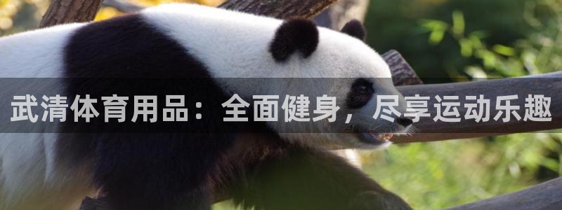 欧陆娱乐注册代理多少钱：武清体育用品：全面健身，尽享