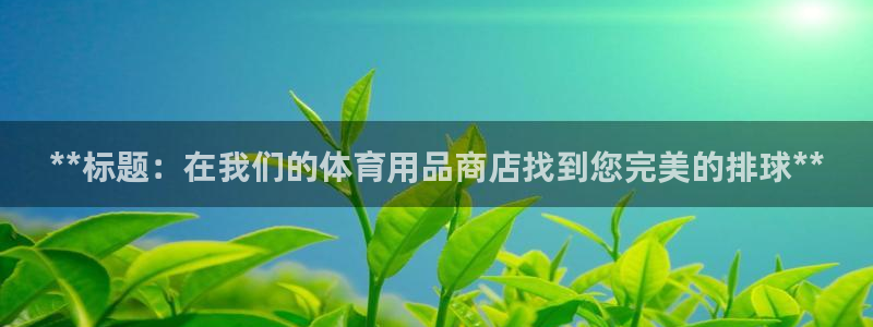 欧陆娱乐图片：**标题：在我们的体育用品商店找到您完美的排球