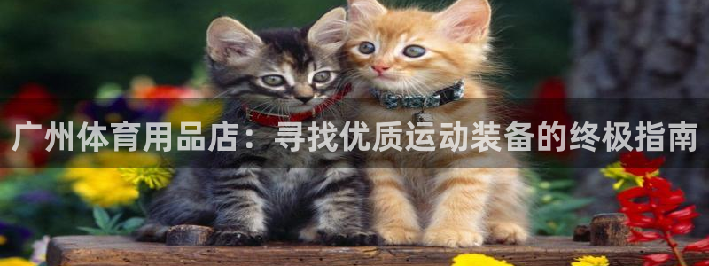 欧陆娱乐怎么注册会员：广州体育用品店：寻找优质运动装