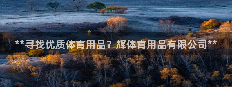 欧陆娱乐官方：**寻找优质体育用品？辉体育用品有限公