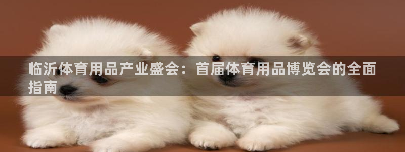 欧陆娱乐是正规平台吗安全吗可靠吗：临沂体育用品产业盛