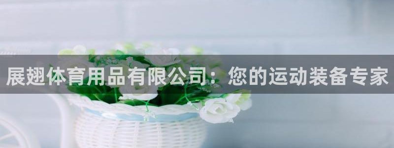 欧陆娱乐登录注册平台有哪些：展翅体育用品有限公司：您