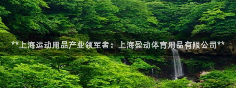 欧陆娱乐app攻略下载：**上海运动用品产业领军者：