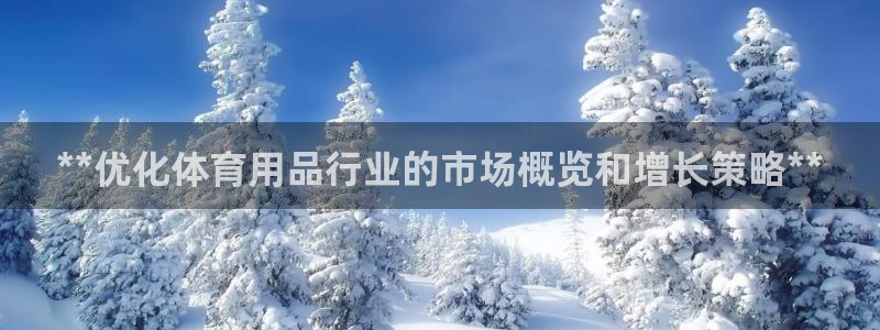 欧陆娱乐挂机项目有哪些：**优化体育用品行业的市场概