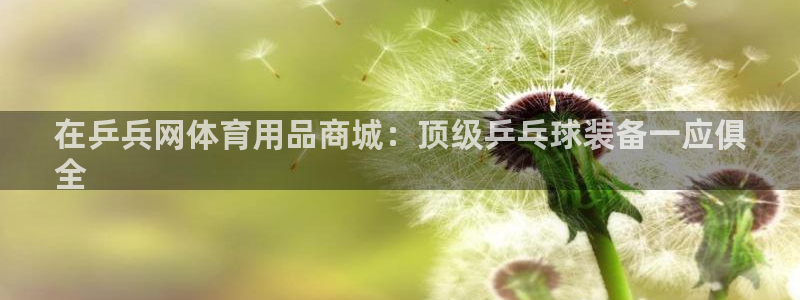 欧陆论坛：在乒兵网体育用品商城：顶级乒乓球装备一应俱