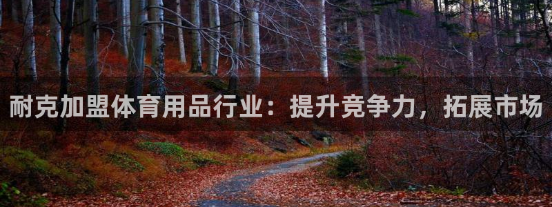 欧陆娱乐平台官网：耐克加盟体育用品行业：提升竞争力，