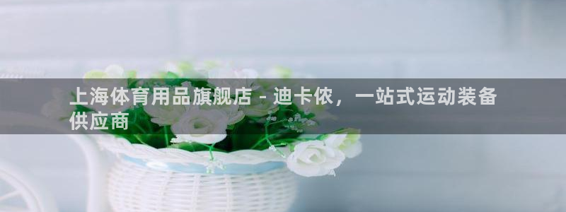 欧陆娱乐注册链接怎么弄出来：上海体育用品旗舰店 - 迪卡侬，