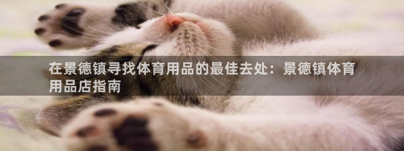 欧陆娱乐平台登陆地址：在景德镇寻找体育用品的最佳去处