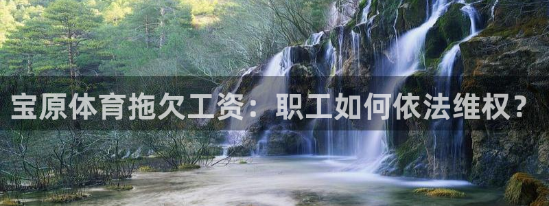 欧陆娱乐安全吗：宝原体育拖欠工资：职工如何依法维权？