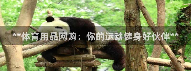 欧陆娱乐怎么注册帐号啊：**体育用品网购：你的运动健