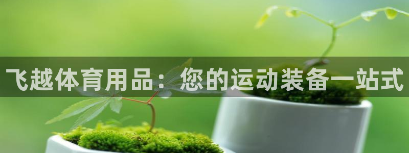 欧陆娱乐官网网址大全：飞越体育用品：您的运动装备一站