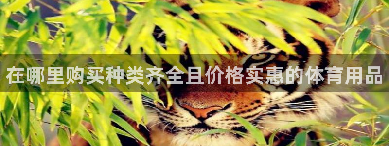 欧陆娱乐能不能玩：在哪里购买种类齐全且价格实惠的体育