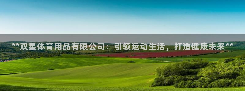 欧陆娱乐是正规平台吗安全吗可靠吗：**双星体育用品有限公司：